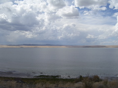 100_1703.JPG