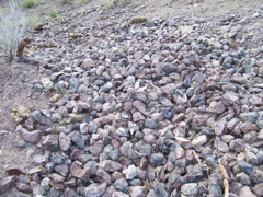 100_1708.JPG